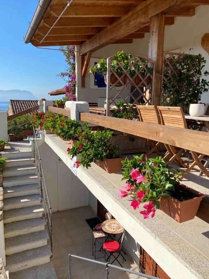 Blue Portrait House Daire Golfo Aranci Dış mekan fotoğraf