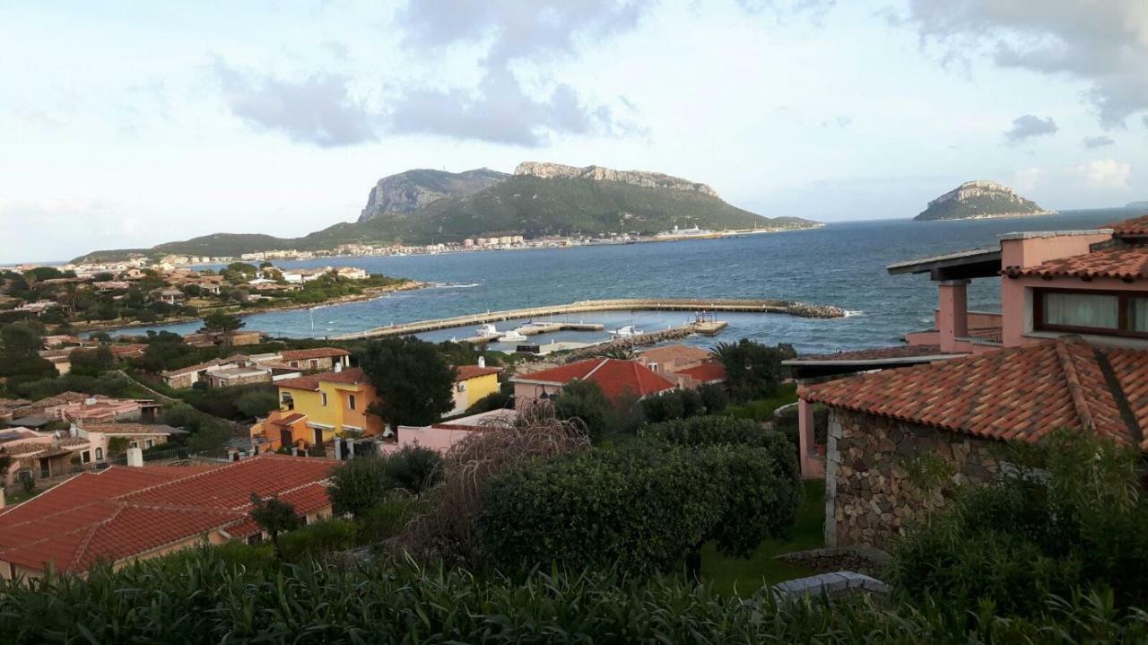 Blue Portrait House Daire Golfo Aranci Dış mekan fotoğraf